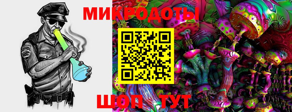 Галлюциногенные грибы прущие грибы Белебей